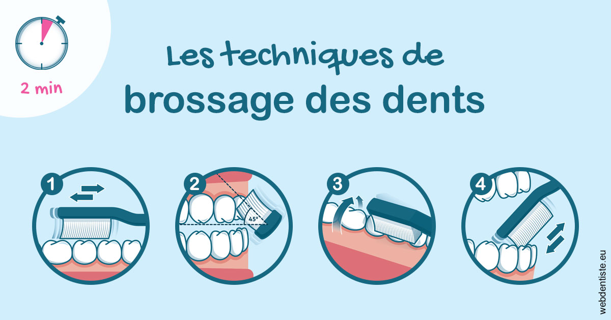 https://dr-lartaud-jean-marc.chirurgiens-dentistes.fr/Les techniques de brossage des dents 1