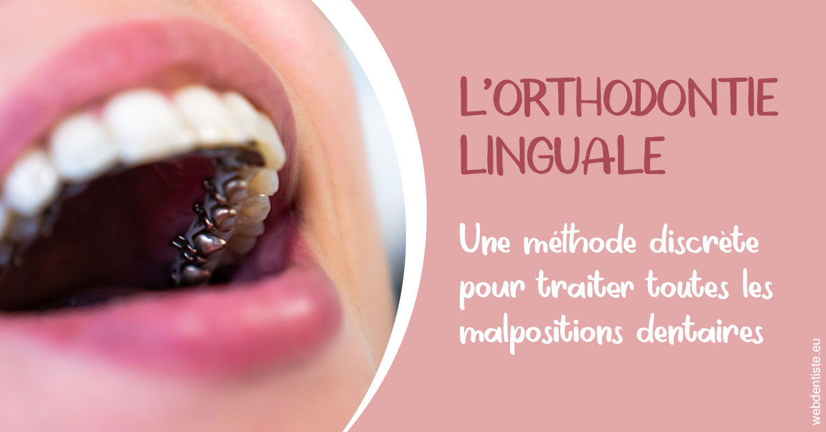 https://dr-lartaud-jean-marc.chirurgiens-dentistes.fr/L'orthodontie linguale 2