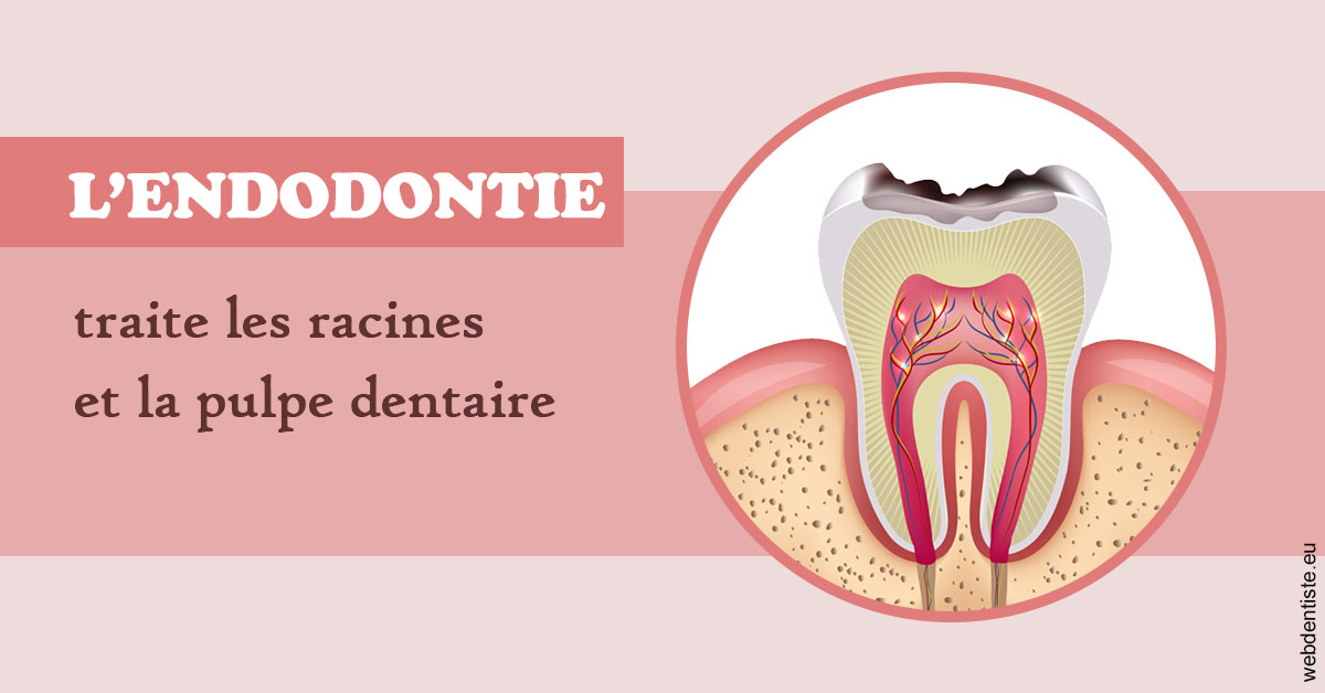 https://dr-lartaud-jean-marc.chirurgiens-dentistes.fr/L'endodontie 2